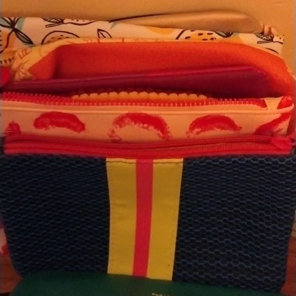 Ipsy Makeup bags